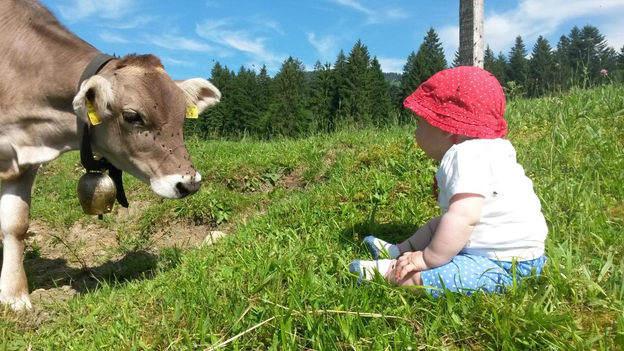 Ferienhof Duerlinde Hittisau Eksteriør billede